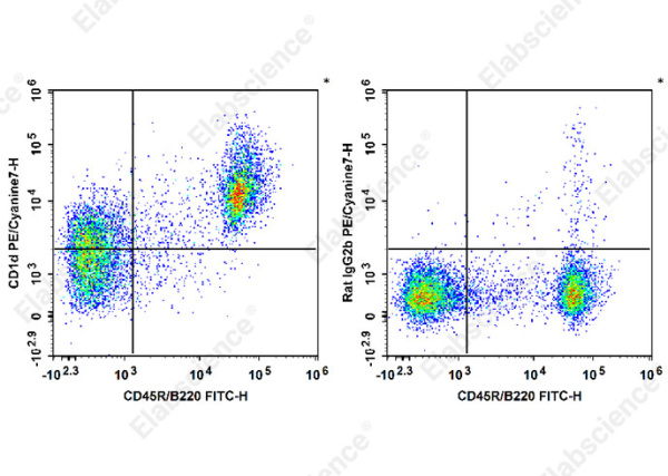 PE/Cyanine7 Anti-Mouse CD1d Antibody[19G11] (E-AB-F1032H)