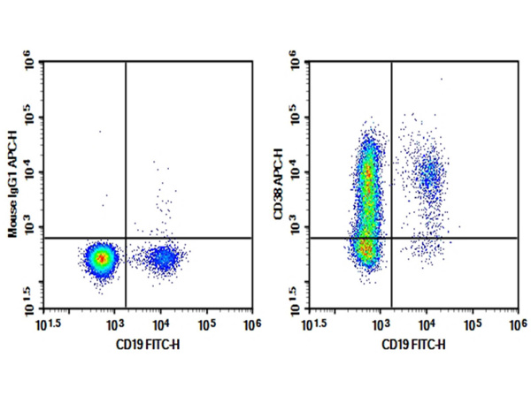 Purified Anti-Human CD38 Antibody[AT13/5] (AN003540P)