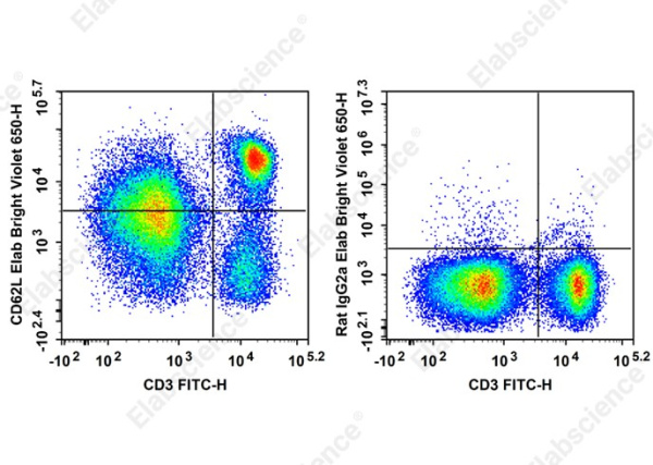 Elab Bright™ Violet 650 Anti-Mouse CD62L Antibody[MEL-14] (E-AB-F1011U)