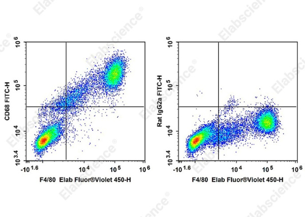 FITC Anti-Mouse CD68 Antibody[FA-11] (AN00927C)