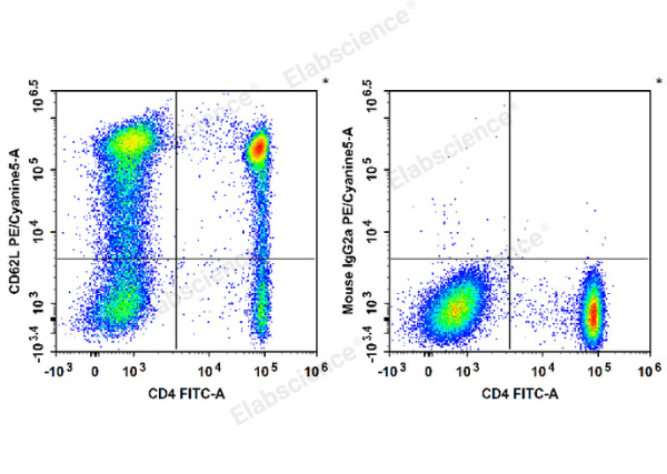 PE/Cyanine5 Anti-Human CD62L Antibody[HI62L] (E-AB-F1336G)