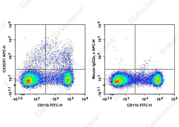 APC Anti-Mouse CX3CR1 Antibody[SA011F11] (AN01022E)