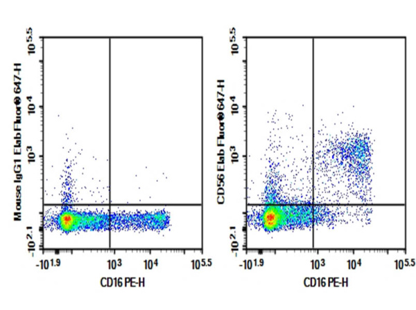 Purified Anti-Human CD56 Antibody[MY31] (E-AB-F1270A)