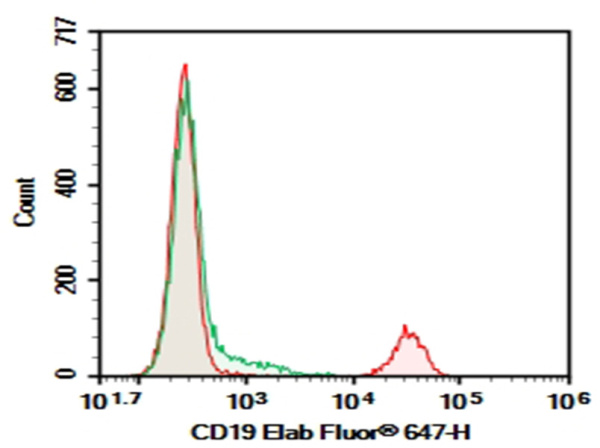 Purified Anti-Human CD19 Antibody[HD37] (AN004380P)