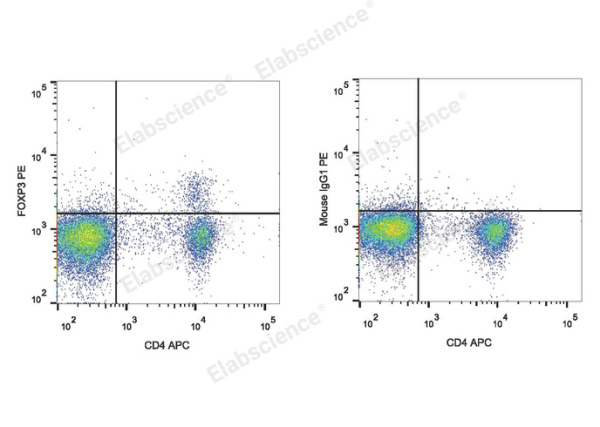 PE Anti-Mouse Foxp3 Antibody[3G3] (E-AB-F1238D)