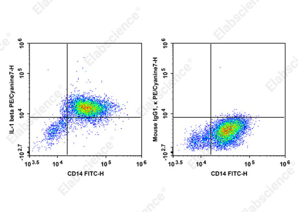PE/Cyanine7 Anti-Human IL-1 beta Antibody[CRM56] (AN00842H)