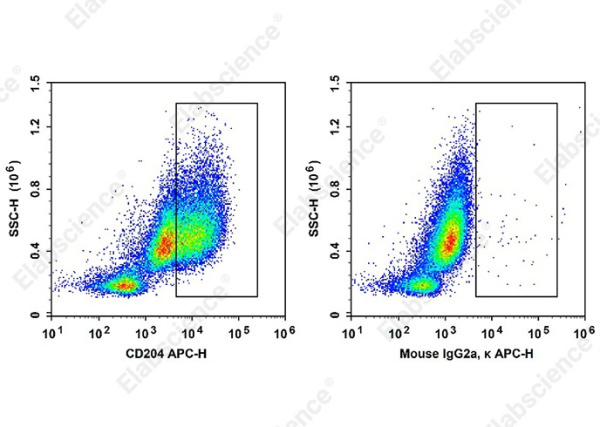 APC Anti-Human CD204 Antibody[7C9C20] (AN00876E)