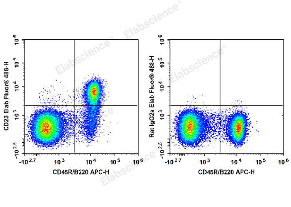 Elab Fluor® 488 Anti-Mouse CD23 Antibody[B3B4] (E-AB-F1178L)