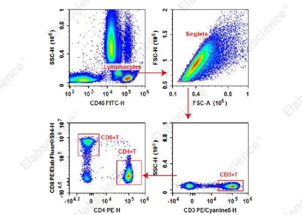 Anti-Human CD45-FITC/CD3-PE/Cyanine5/CD4-PE/CD8-PE/Elab Fluor® 594 Cocktail (E-AB-FC0029)