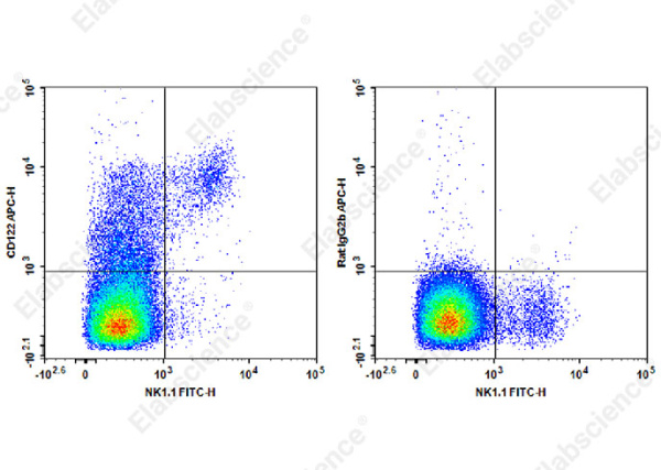 APC Anti-Mouse CD122 Antibody[TM-Beta 1] (AN00418UE)