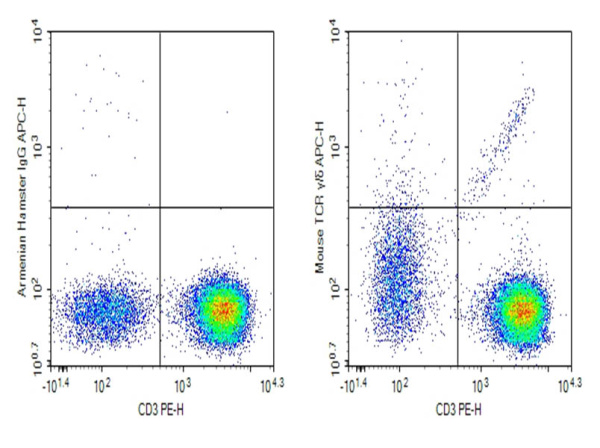 Purified Anti-Mouse TCR γ/δ Antibody[GL3] (E-AB-F1282A)