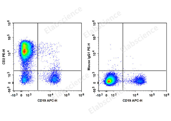 PE Anti-Human CD2 Antibody[RPA-2.10] (E-AB-F1375D)