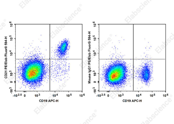 PE/Elab Fluor® 594 Anti-Human CD21 Antibody[BU32] (E-AB-F1046P)