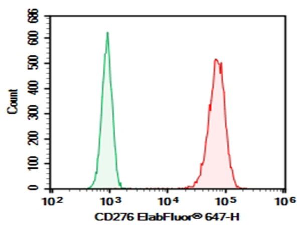 Purified Anti-Human CD276 Antibody[6A1] (AN004110P)