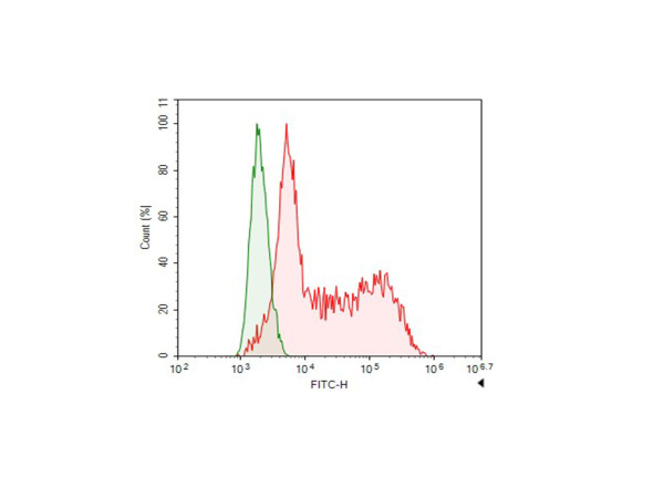 FITC-conjugated HA-Tag Monoclonal Antibody (AN00301C)