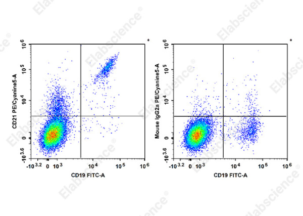 PE/Cyanine5 Anti-Human CD21 Antibody[HI21a] (E-AB-F1320G)