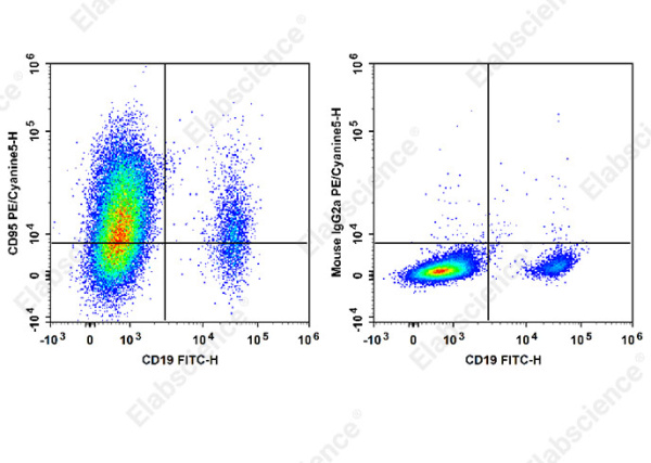 PE/Cyanine5 Anti-Human CD95/Fas Antibody[HFE7A/APO] (E-AB-F1379G)