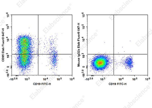 Elab Fluor® 647 Anti-Human CD95/Fas Antibody[HFE7A/APO] (E-AB-F1379M)