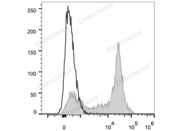 PE Anti-Mouse CD38 Antibody[NIMR5] (E-AB-F1193D)