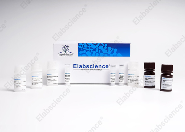 Aptplex™ Human Cytokine 7-Plex Panel (C) (MPD006)