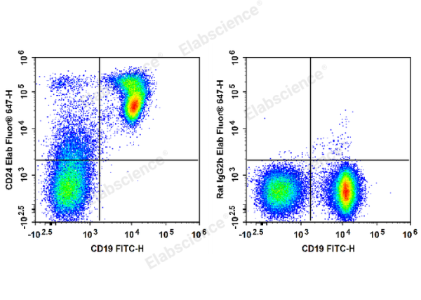 Elab Fluor® 647 Anti-Mouse CD24 Antibody[M1/69] (E-AB-F1179M)