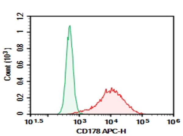Purified Anti-Human CD178 Antibody[NOK-1] (AN009640P)