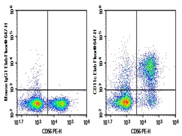 Purified Anti-Human CD11c Antibody[BU15] (E-AB-F11180P)
