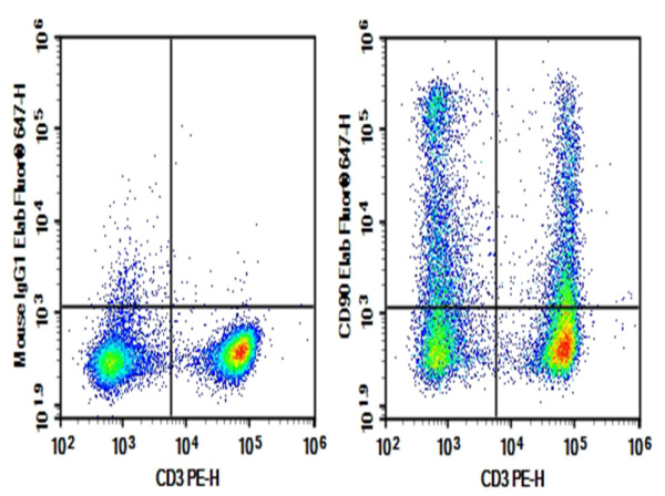 Purified Anti-Rat CD90 Antibody[OX-7] (E-AB-F1226A)