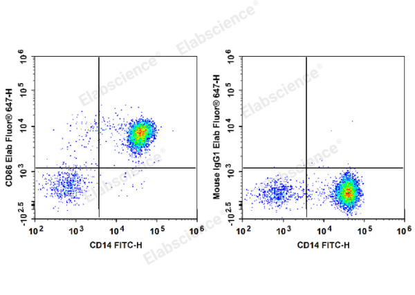 Elab Fluor® 647 Anti-Human CD86 Antibody[BU63] (E-AB-F1012M)