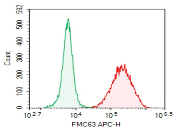Purified Anti-FMC63 Antibody[DA001] (AN010000P)