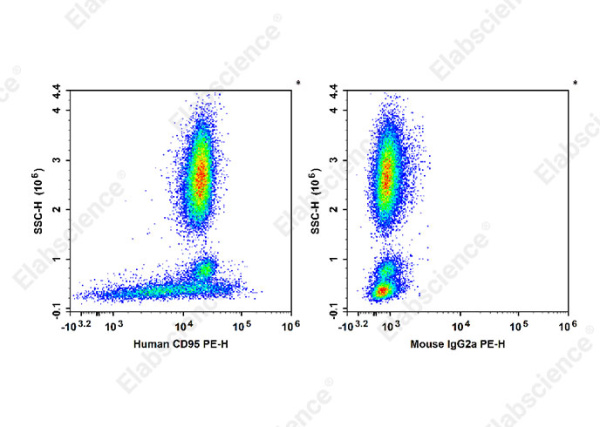 PE Anti-Human CD95/Fas Antibody[HFE7A/APO] (E-AB-F1379D)