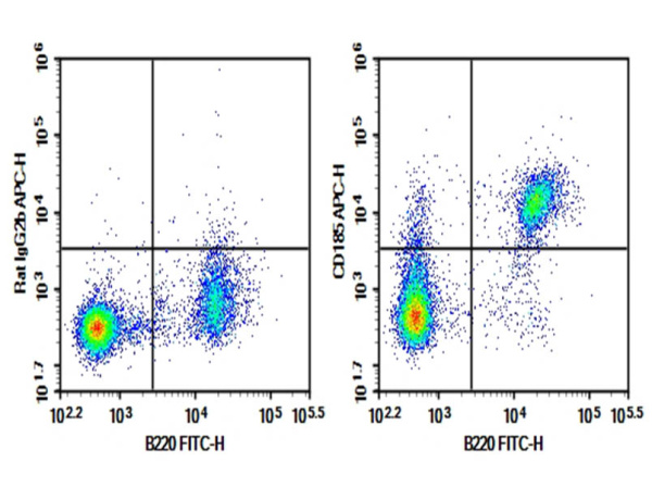 Purified Anti-Mouse CD185 Antibody[L138D7] (AN008940P)
