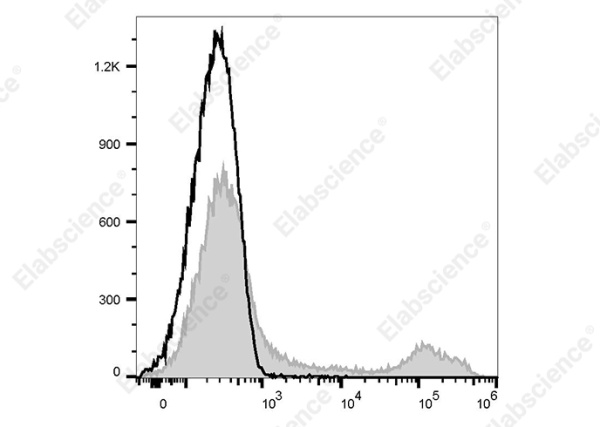 PE Anti-Rat CD71 Antibody[OX-26] (AN00622D)