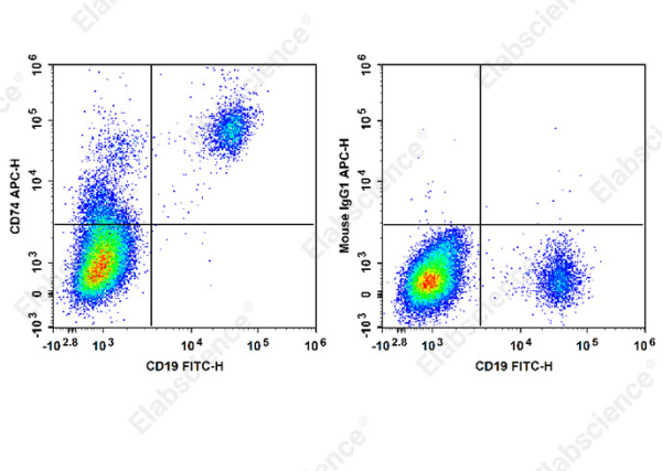 APC Anti-Human CD74 Antibody[LL1] (E-AB-F1421E)