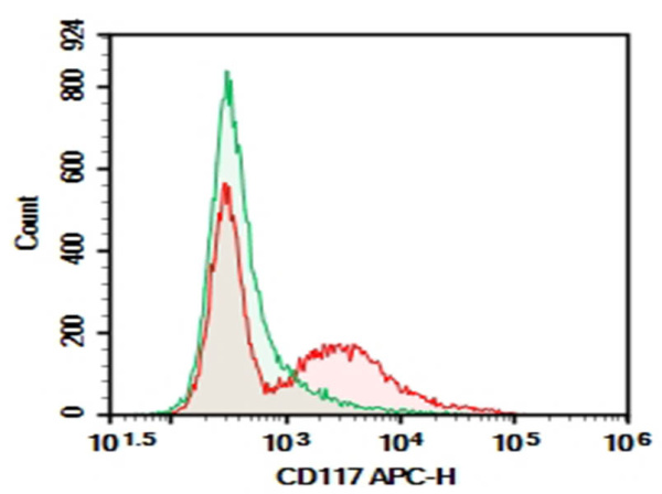 Purified Anti-Mouse CD117 Antibody[ACK2] (E-AB-F9998A)