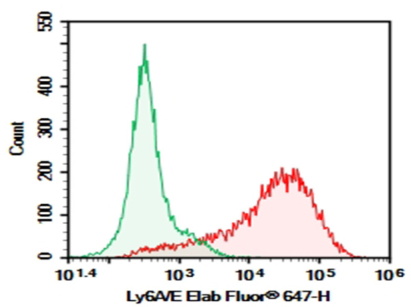 Purified Anti-Mouse Ly6A/E Antibody[D7] (E-AB-F1191A)