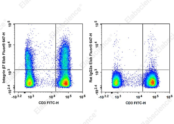 Elab Fluor®647 Anti-Human/Mouse Integrin β7 Antibody[FIB504] (AN00571M)