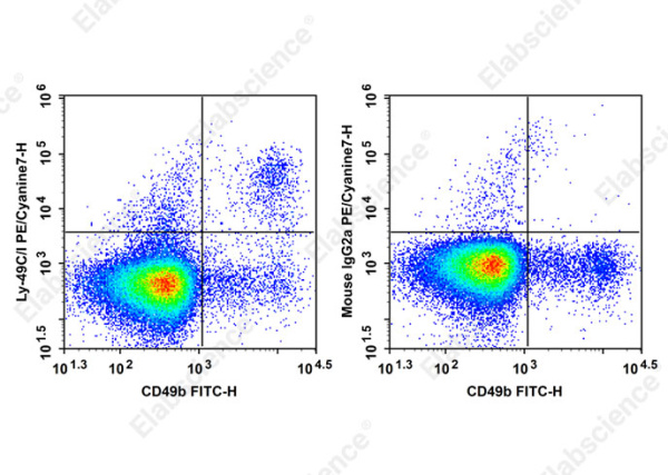 PE/Cyanine7 Anti-Mouse Ly-49C/I Antibody[5E6] (AN00659H)