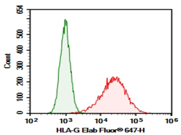 Purified Anti-Human HLA-G Antibody[MEM-G/11] (AN006210P)