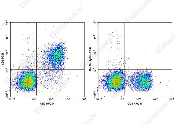 PE Anti-Mouse CD6 Antibody[OX-129] (AN00327D)