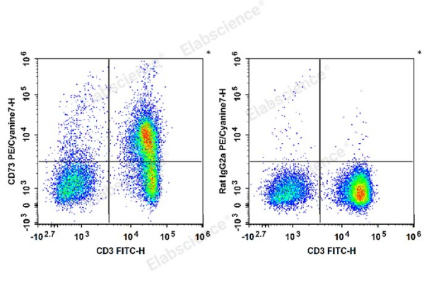 PE/Cyanine7 Anti-Mouse CD73 Antibody[TY/23] (E-AB-F1089H)