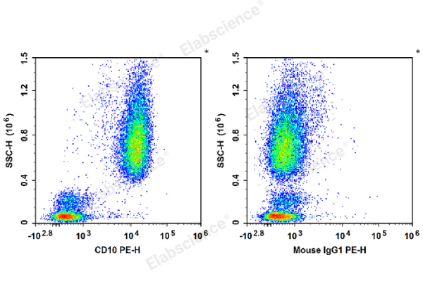 PE Anti-Human CD10 Antibody[HI10a] (E-AB-F1141D)