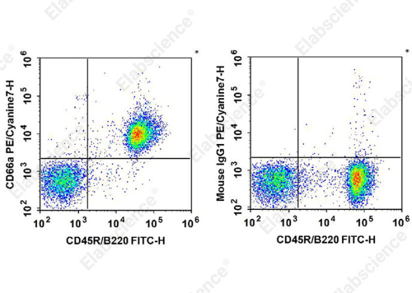 PE/Cyanine7 Anti-Mouse CD66A Antibody[Mab-CC1] (AN00328H)
