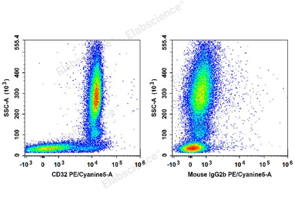 PE/Cyanine5 Anti-Human CD32 Antibody[IV-3] (E-AB-F1075G)