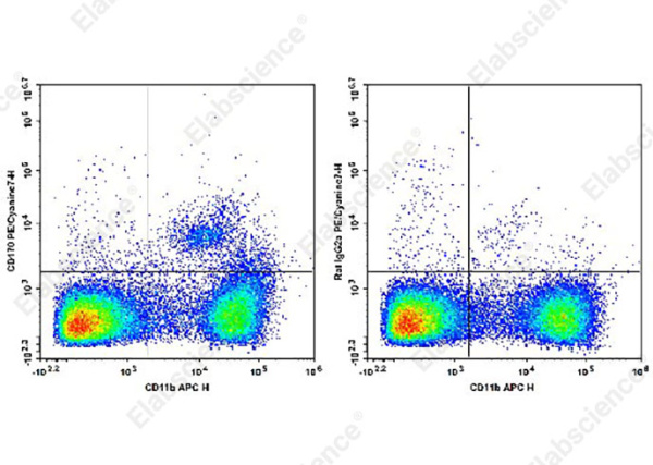 PE/Cyanine7 Anti-Mouse CD170 Antibody[S17007L] (AN00629H)