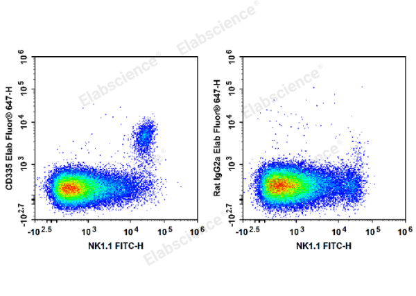 Elab Fluor® 647 Anti-Mouse CD335/NKp46 Antibody[29A1.4] (E-AB-F1182UM)
