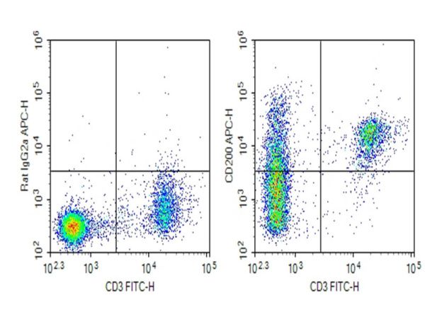 Purified Anti-Mouse CD200 Antibody[OX-90] (E-AB-F1234A)