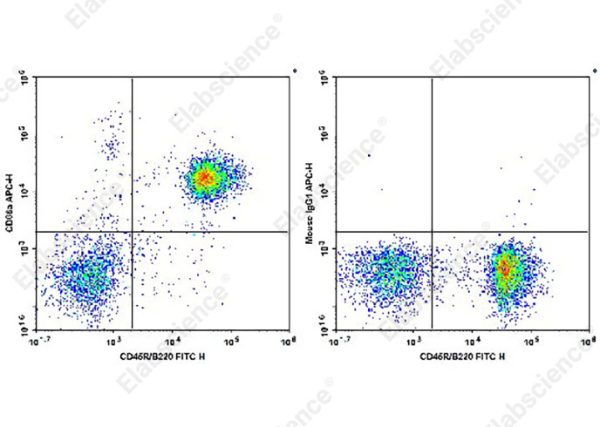 APC Anti-Mouse CD66A Antibody[Mab-CC1] (AN00328E)