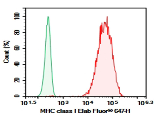Purified Anti-Human HLA-A,B,C Antibody[W6/32] (E-AB-F1130A)