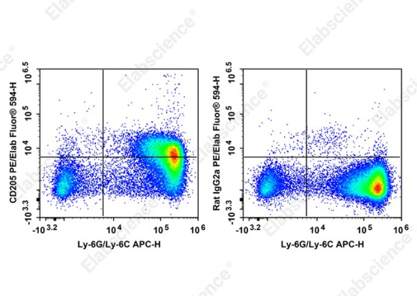 PE/Elab Fluor® 594 Anti-Mouse CD205 Antibody[NLDC-145] (AN00844P)